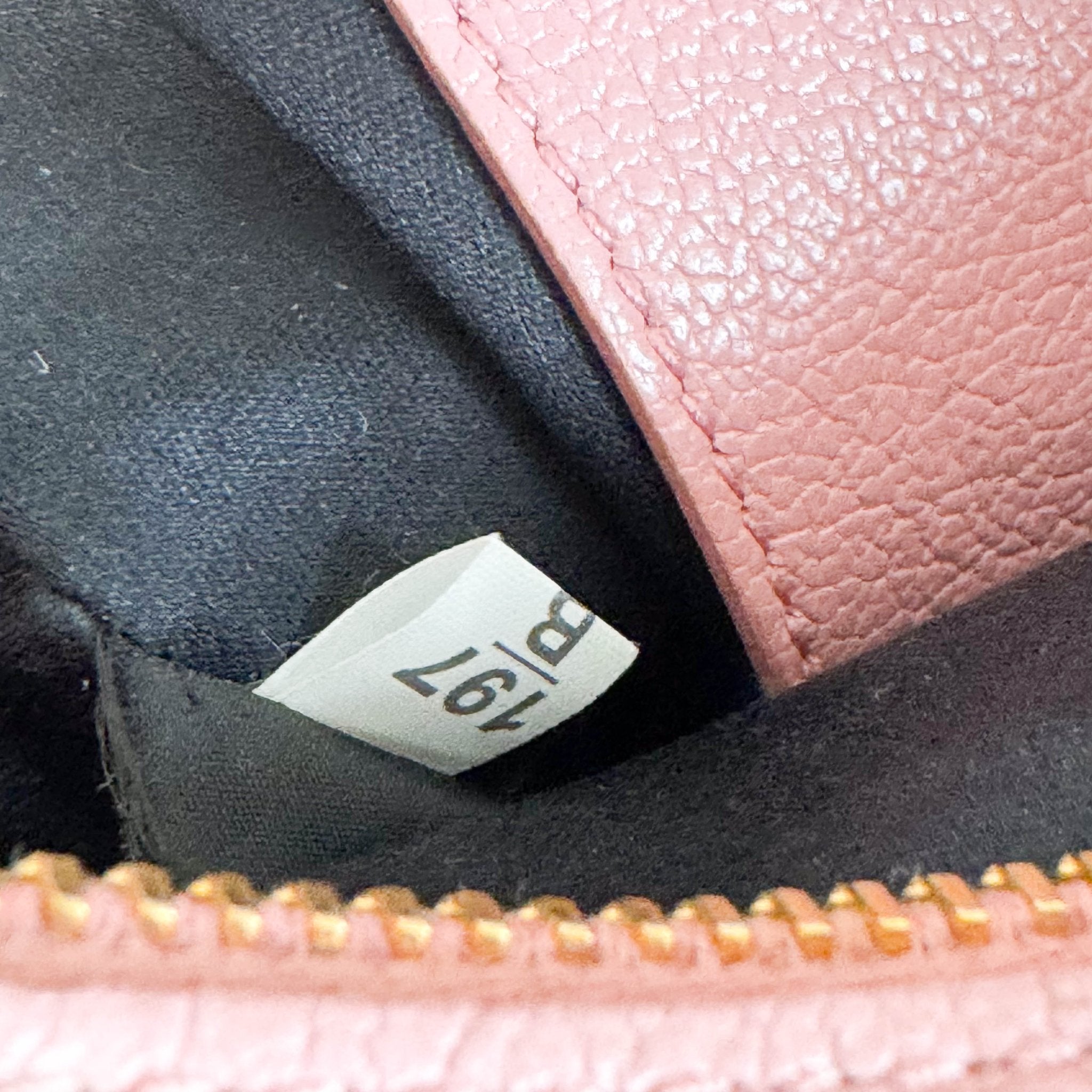 MIU MIU Pink Leather Camera Bag With Crossbody Strap, in , Sold by HIVE PRELOVED - Crossbody bags, ,