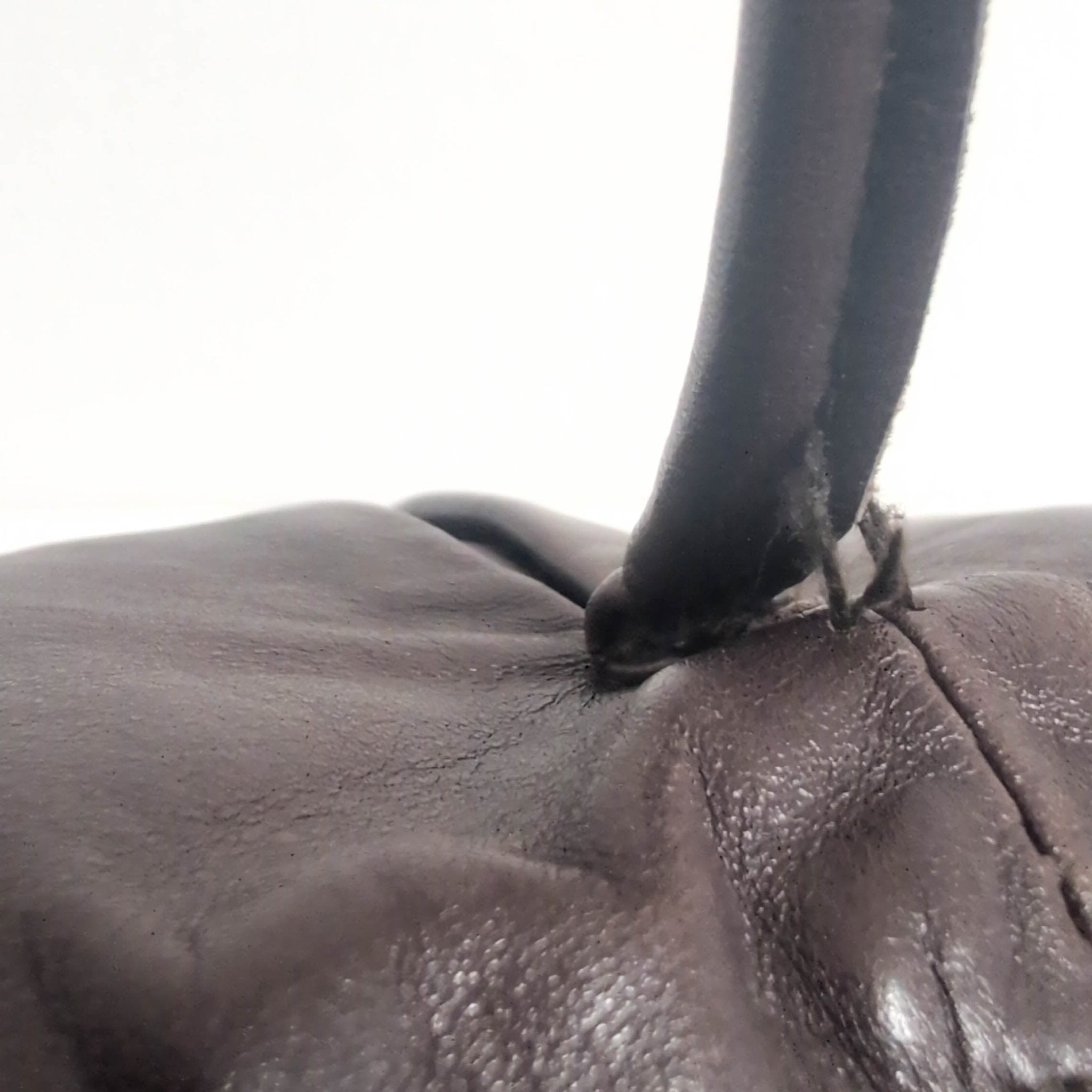 MIU MIU Vintage Dark Brown Leather Shoulder Bag, in , Sold by HIVE PRELOVED - Shoulder Bags, ,