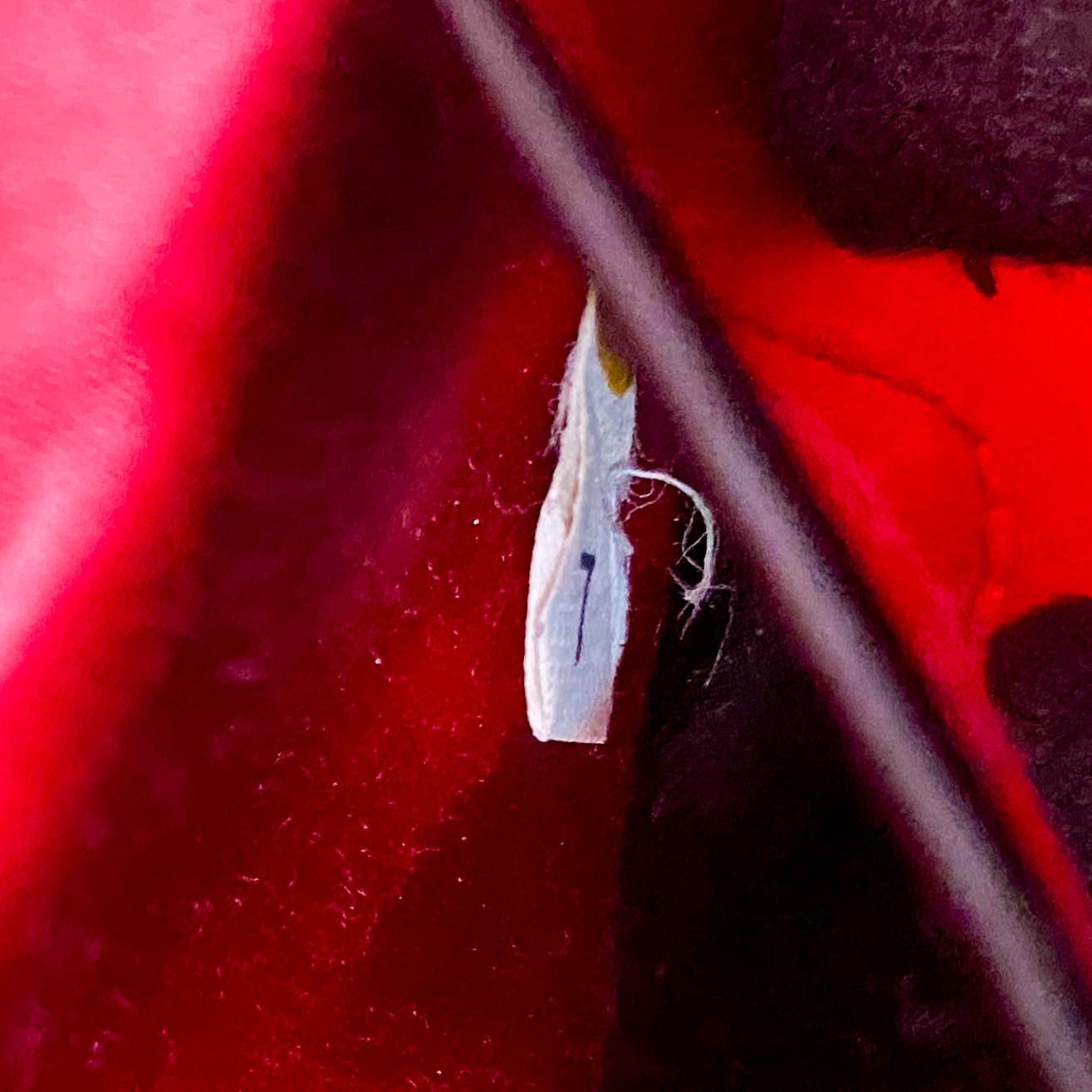 PRADA Satin Magenta Clutch Bag, in , Sold by HIVE PRELOVED - Clutch bags, ,